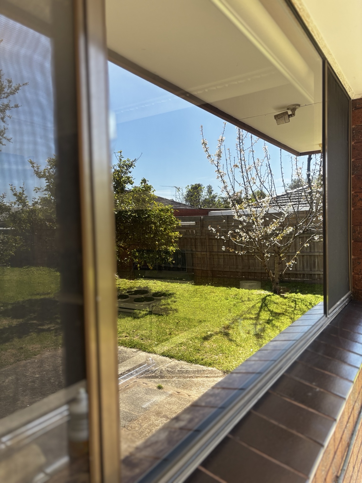 Clean residential windows overlooking a garden